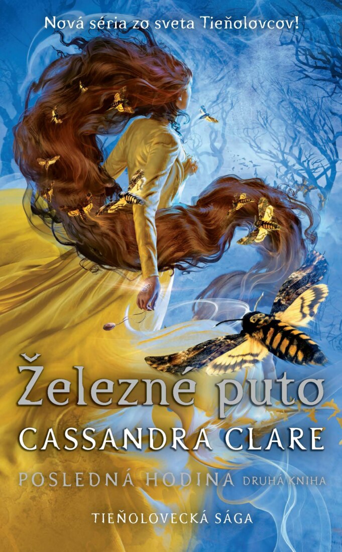 Obálka knihy Železné puto (Posledná hodina 2)