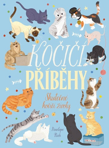 Obálka knihy Kočičí příběhy
