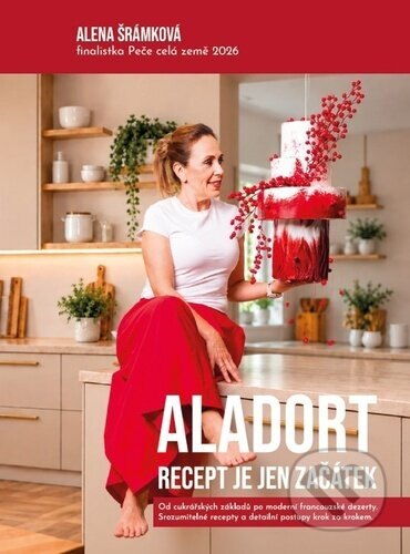 Obálka knihy Aladort Recept je jen začátek
