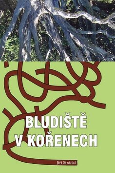 Obálka knihy Bludiště v kořenech