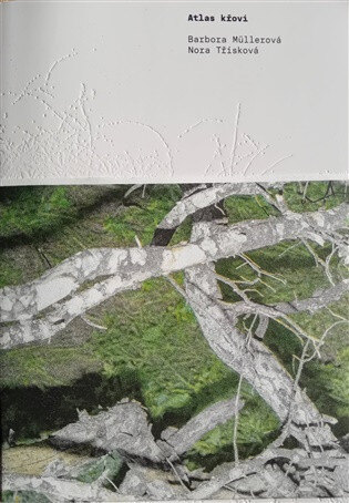 Obálka knihy Atlas křoví