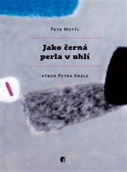Obálka knihy Jako černá perla v uhlí