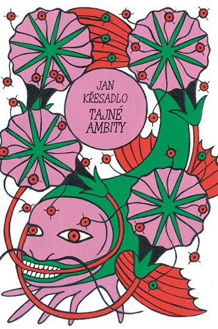 Obálka knihy Tajné ambity
