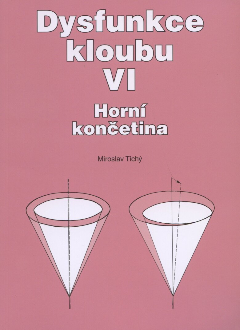 Obálka knihy Dysfunkce kloubu VI.