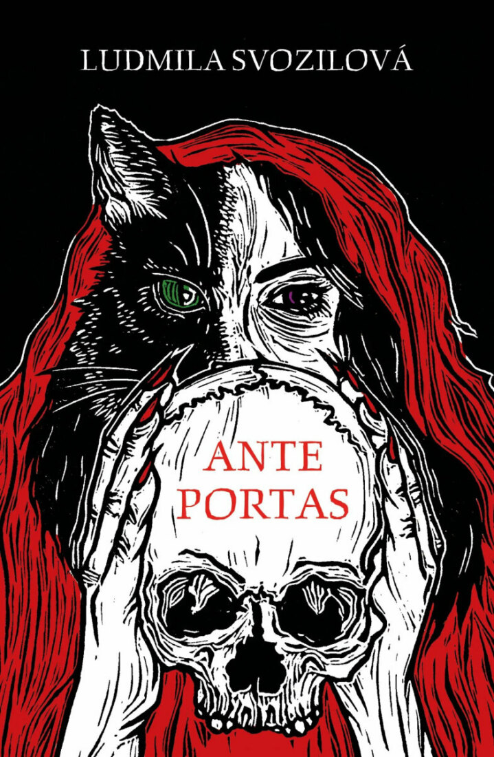 Obálka knihy Ante portas