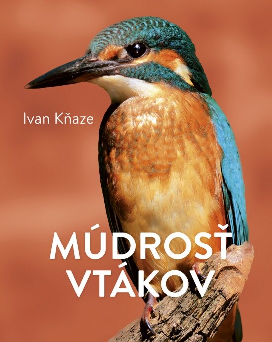 Obálka knihy Múdrosť vtákov