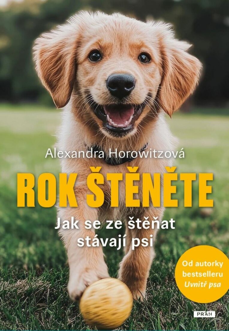 Obálka knihy Rok štěněte - Jak se ze štěňat stávají psi