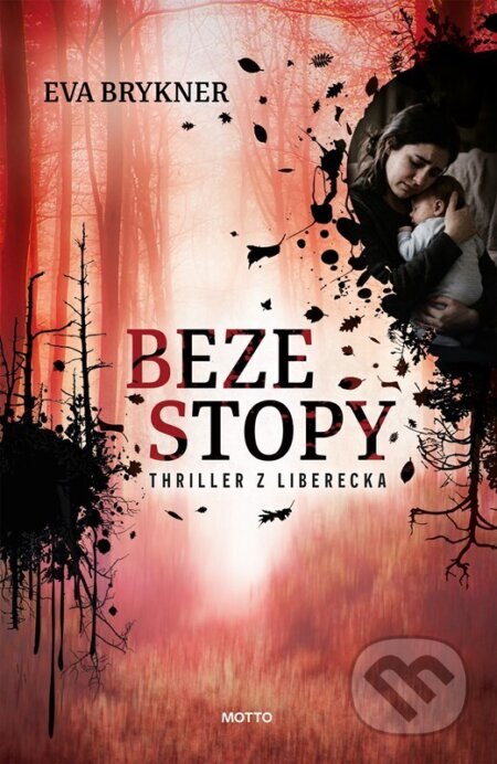 Obálka knihy Beze stopy