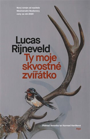 Obálka knihy Ty moje skvostné zvířátko