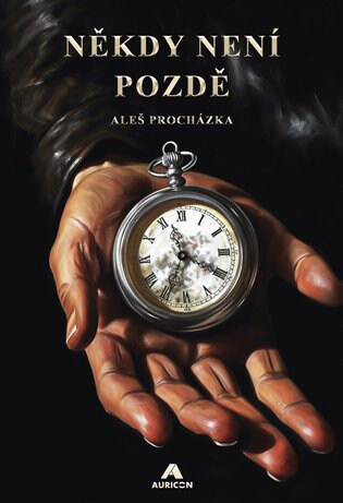 Obálka knihy Někdy není pozdě