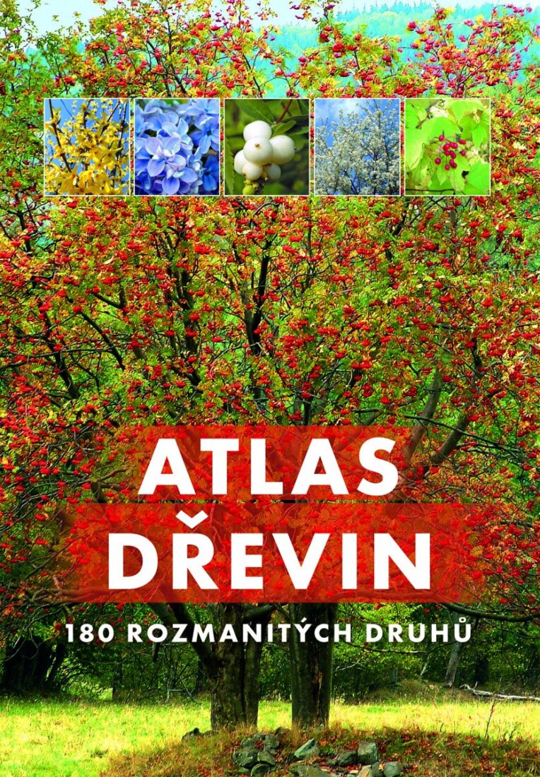 Obálka knihy Atlas dřevin