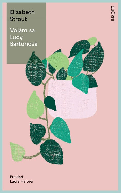 Obálka knihy Volám sa Lucy Bartonová