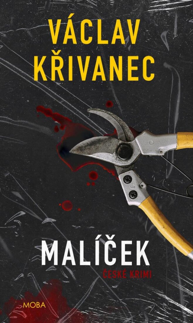 Obálka knihy Malíček
