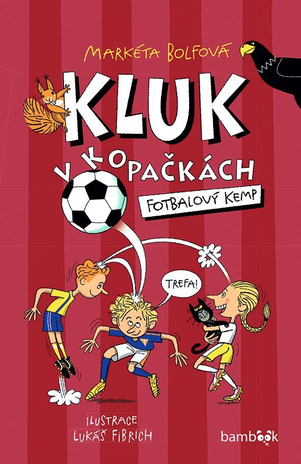 Obálka knihy Kluk v kopačkách - Fotbalový kemp