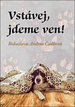 Obálka knihy Vstávej, jdeme ven!