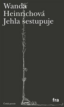 Obálka knihy Jehla sestupuje