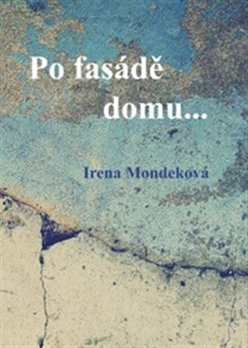 Obálka knihy Po fasádě domu...