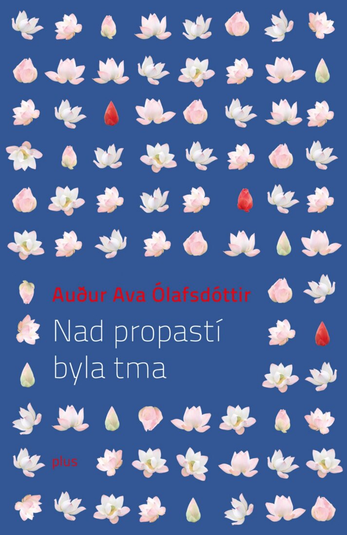 Obálka knihy Nad propastí byla tma