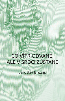 Obálka knihy Co vítr odvane, ale v srdci zůstane