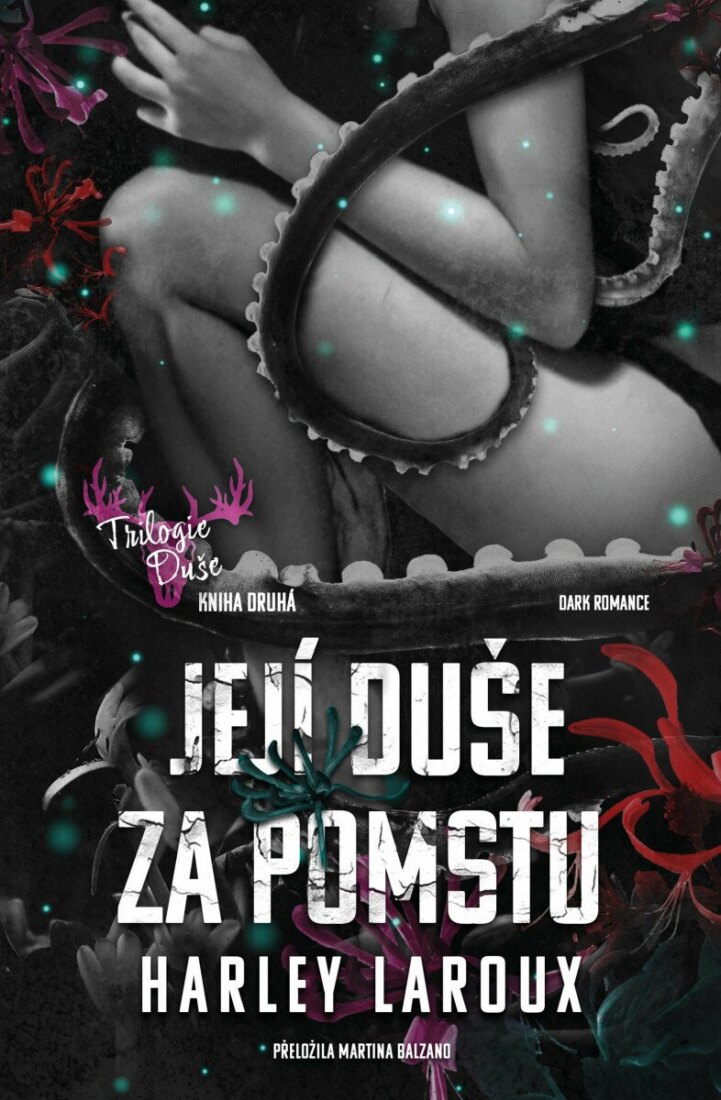 Obálka knihy Její duše za pomstu