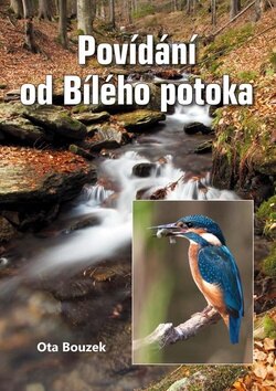 Obálka knihy Povídání od Bílého potoka