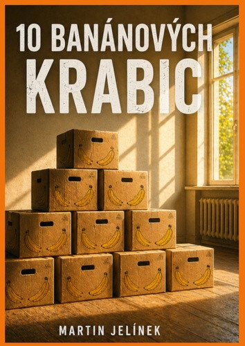 Obálka knihy 10 banánových krabic