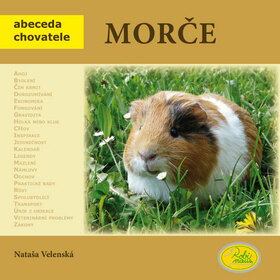 Obálka knihy Morče