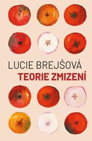 Obálka knihy Teorie zmizení