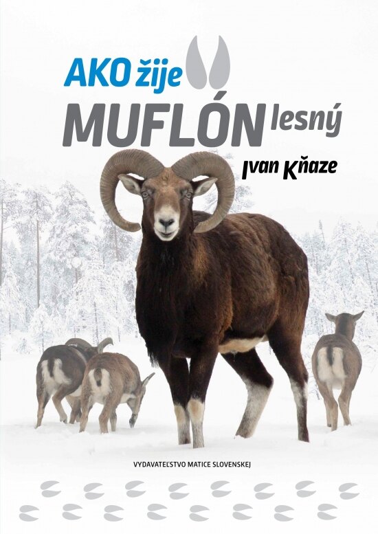 Obálka knihy Ako žije muflón lesný