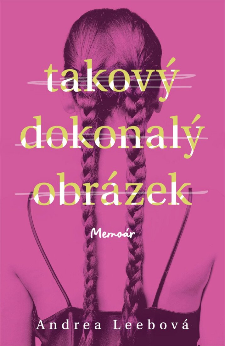 Obálka knihy Takový dokonalý obrázek