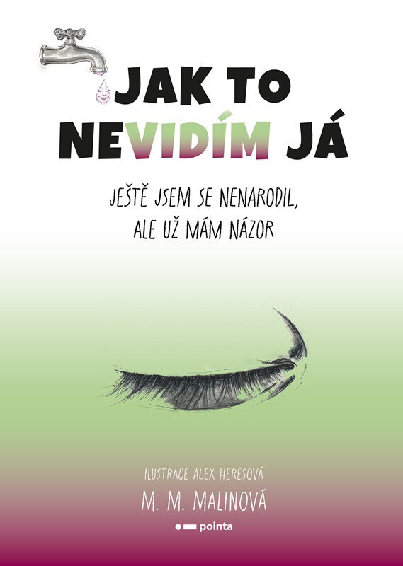 Obálka knihy Jak to nevidím já