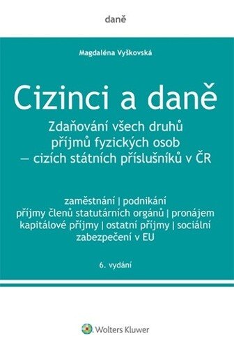 Obálka knihy Cizinci a daně