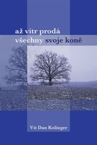 Obálka knihy Až vítr prodá všechno svoje koně