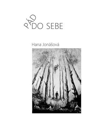 Obálka knihy Pád do sebe