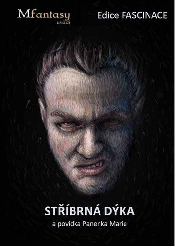 Obálka knihy Stříbrná dýka