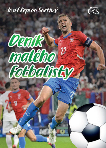 Obálka knihy Deník malého fotbalisty
