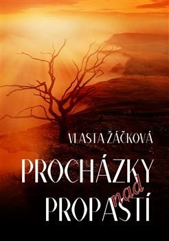Obálka knihy Procházky nad propastí