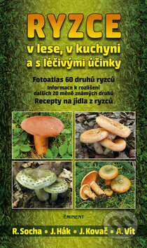 Obálka knihy Ryzce