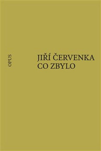 Obálka knihy Co zbylo