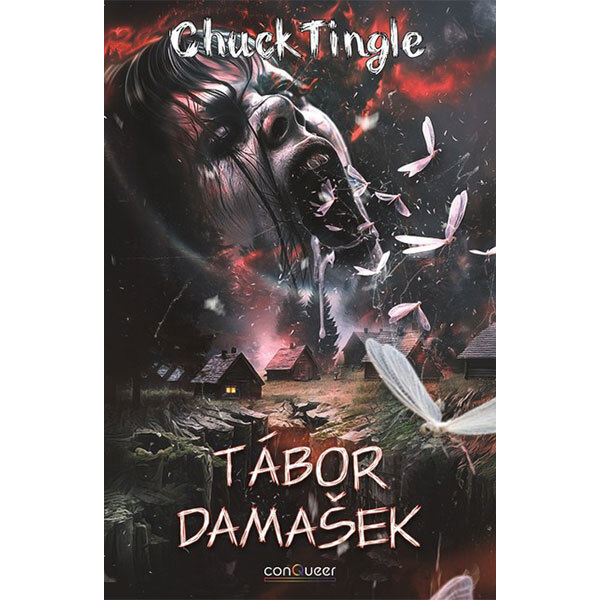Obálka knihy Tábor Damašek