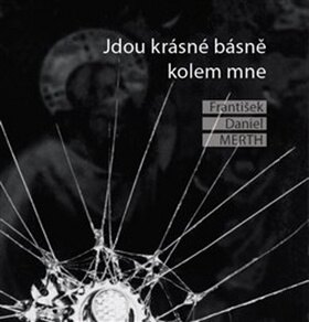 Obálka knihy Jdou krásné básně kolem mne