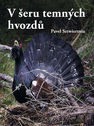 Obálka knihy V šeru temných hvozdů
