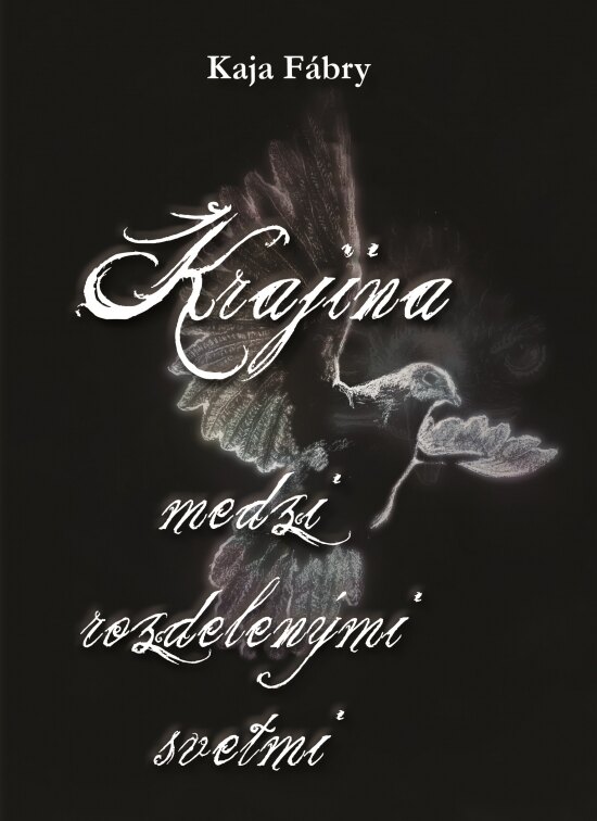 Obálka knihy Krajina medzi rozdelenými svetmi