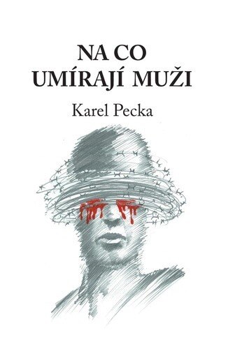 Obálka knihy Na co umírají muži
