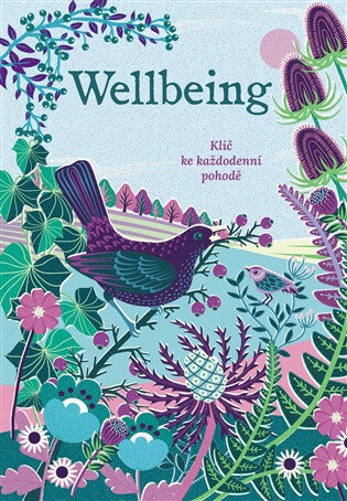 Obálka knihy Wellbeing - Klíč ke každodenní pohodě