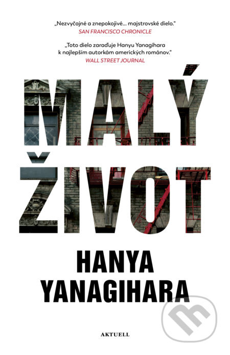 Obálka knihy Malý život