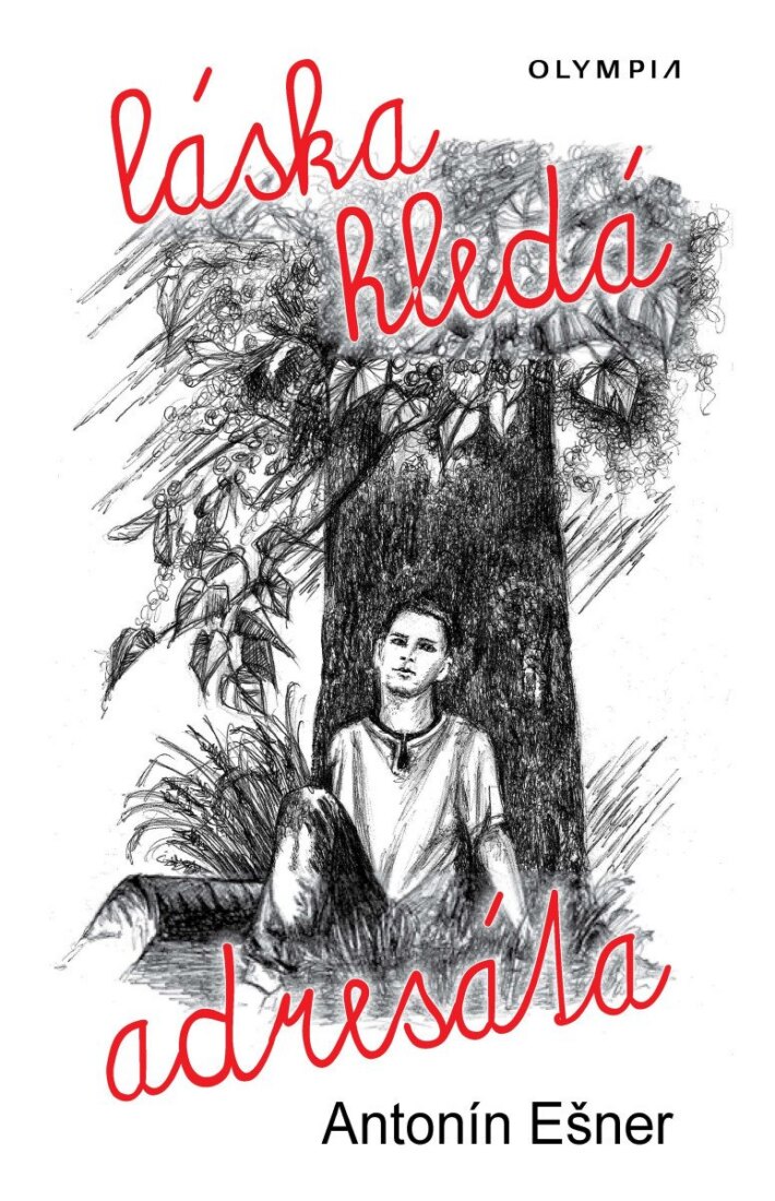 Obálka knihy Láska hledá adresáta