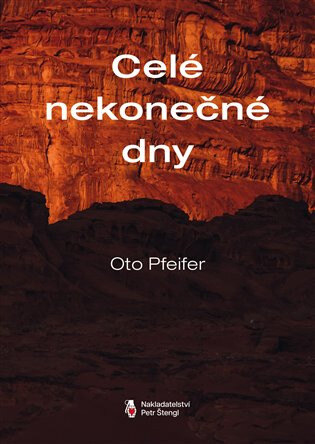 Obálka knihy Celé nekonečné dny