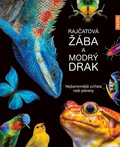Obálka knihy Rajčatová žába a modrý drak