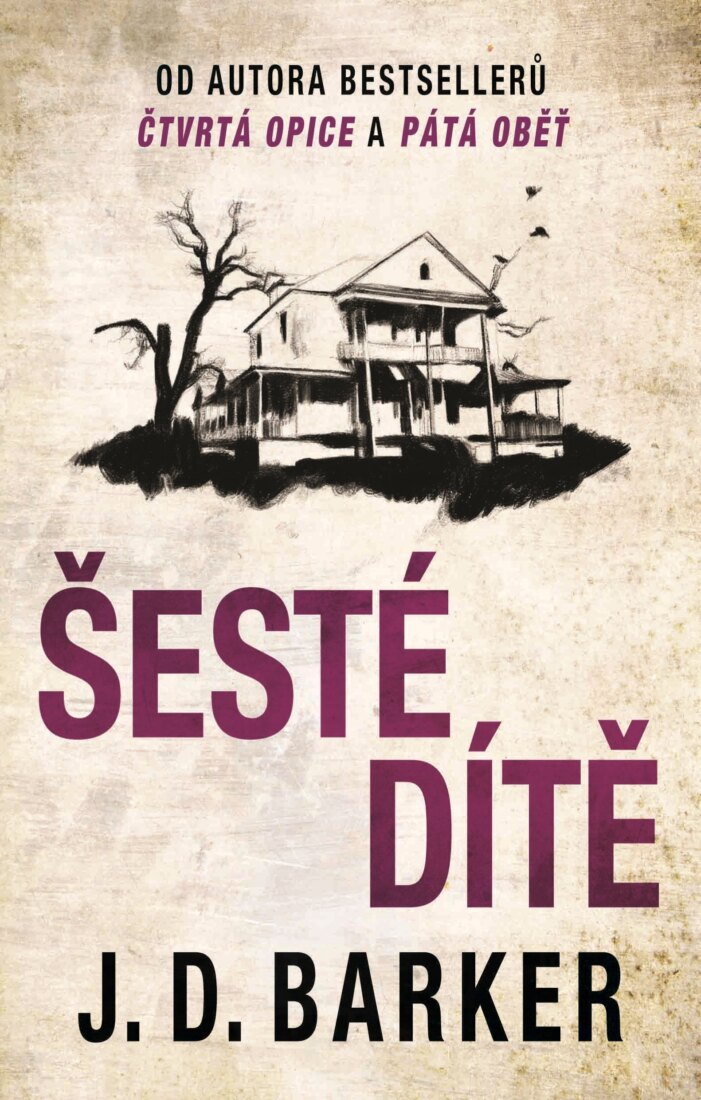 Obálka knihy Šesté dítě